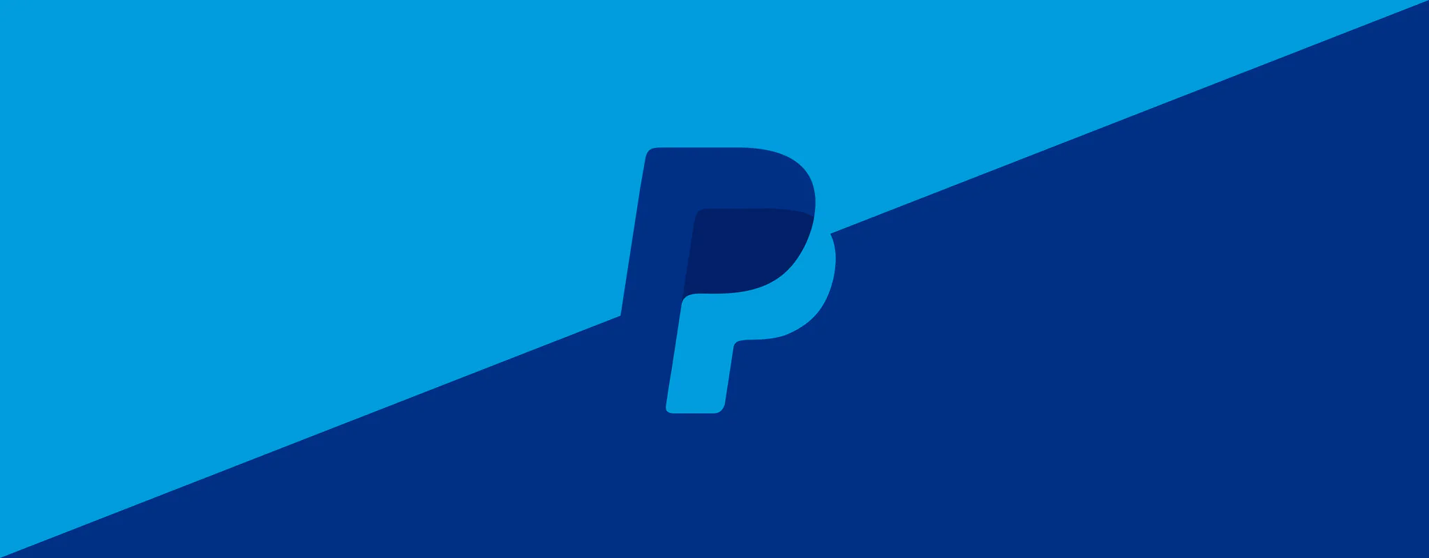 paypal banner
